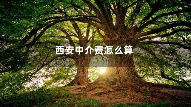 西安中介费怎么算