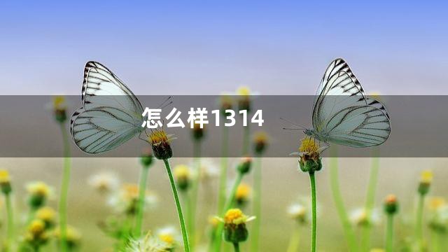 怎么样1314