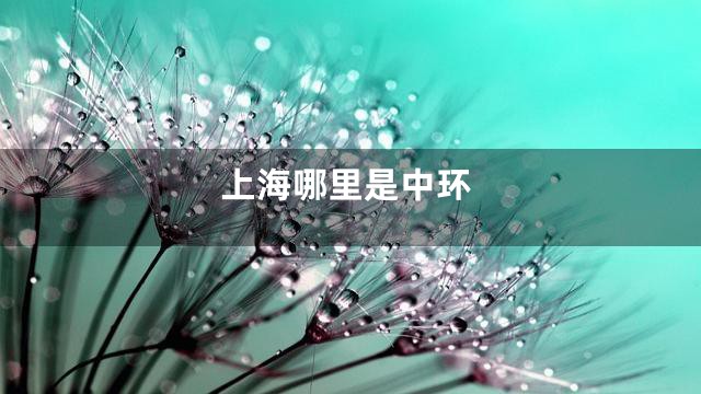 上海哪里是中环