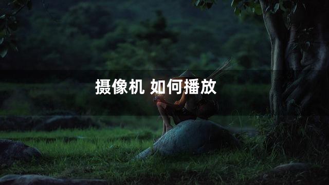 摄像机 如何播放