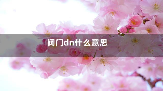 阀门dn什么意思