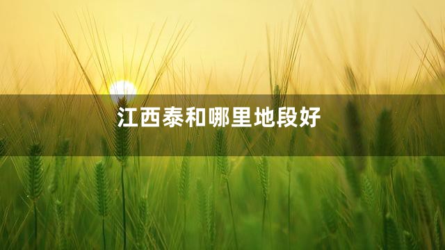 江西泰和哪里地段好