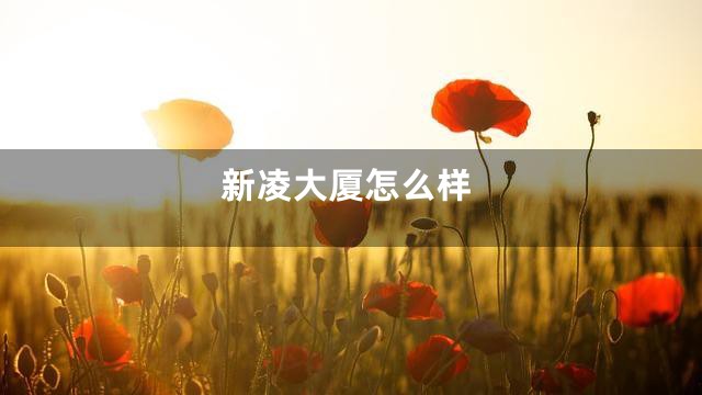 新凌大厦怎么样