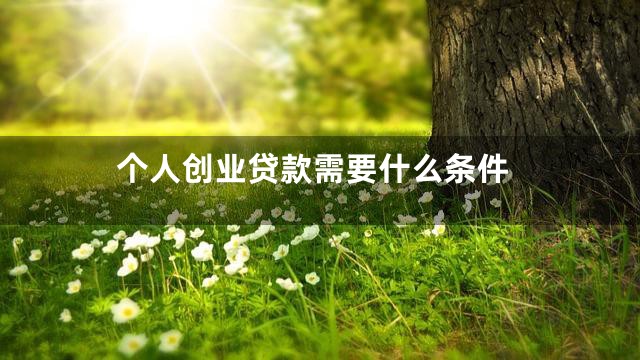 个人创业贷款需要什么条件