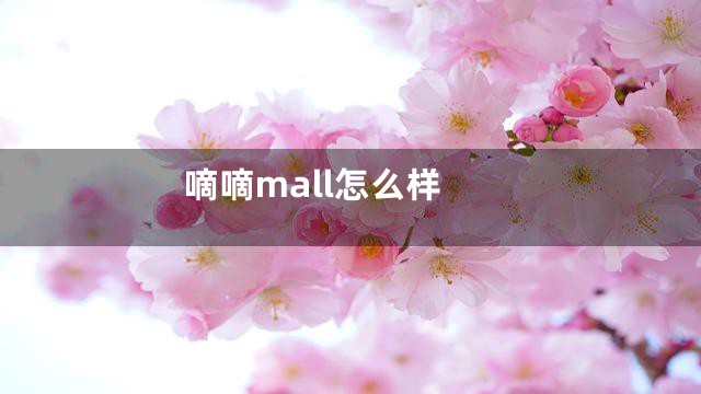 嘀嘀mall怎么样