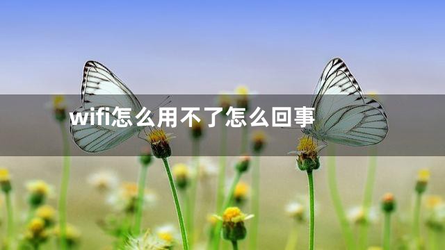 wifi怎么用不了怎么回事