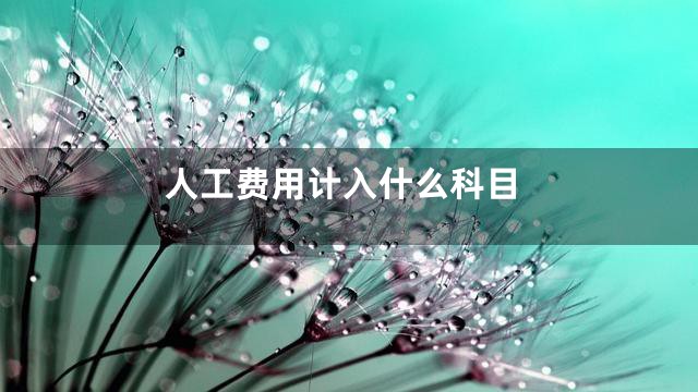 人工费用计入什么科目