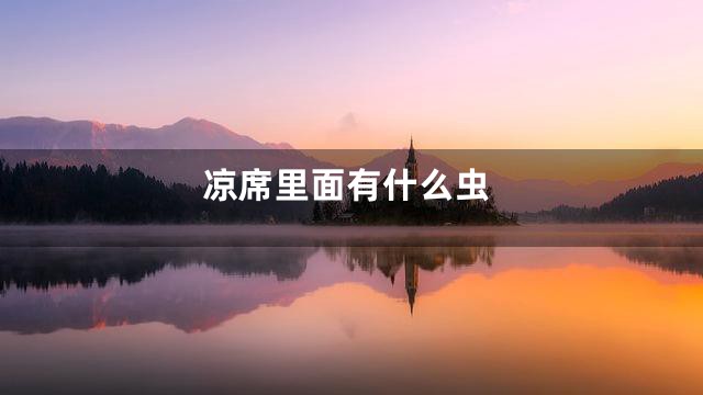 凉席里面有什么虫