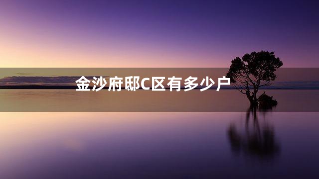 金沙府邸C区有多少户