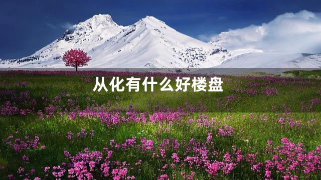 从化有什么好楼盘