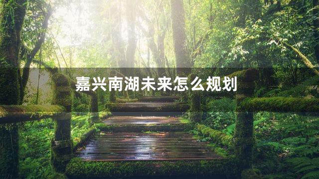 嘉兴南湖未来怎么规划