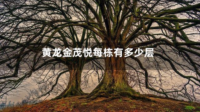 黄龙金茂悦每栋有多少层