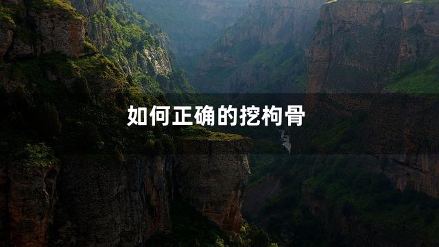 如何正确的挖枸骨