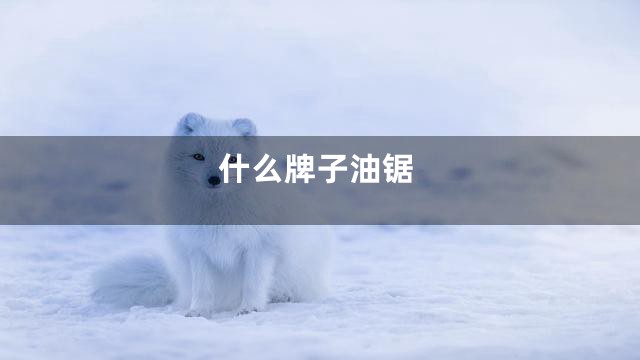 什么牌子油锯