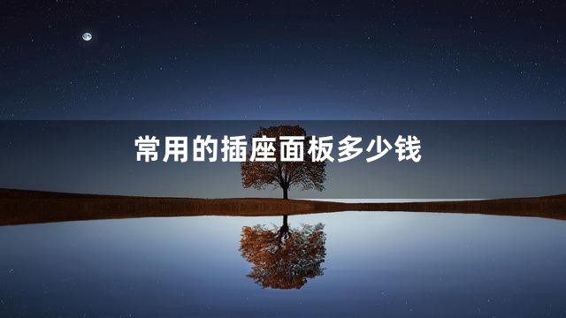 常用的插座面板多少钱