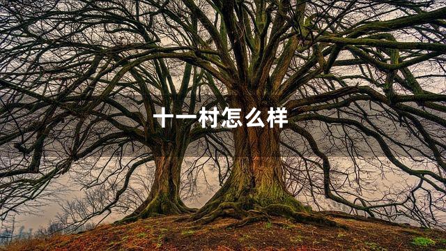 十一村怎么样