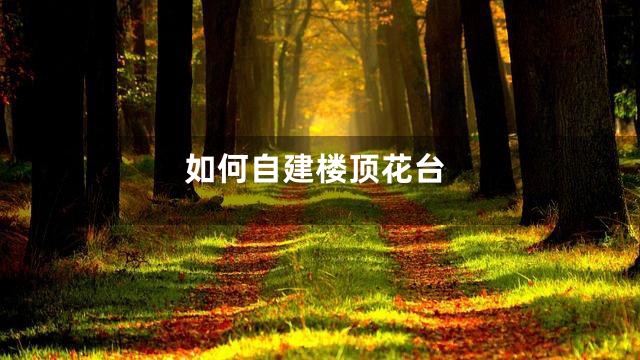 如何自建楼顶花台