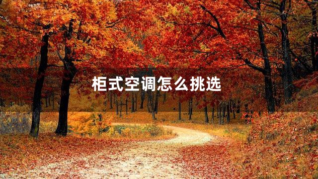 柜式空调怎么挑选