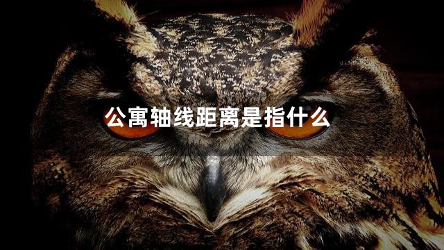公寓轴线距离是指什么