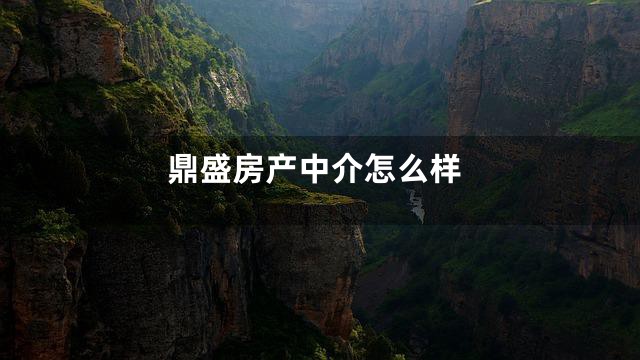 鼎盛房产中介怎么样