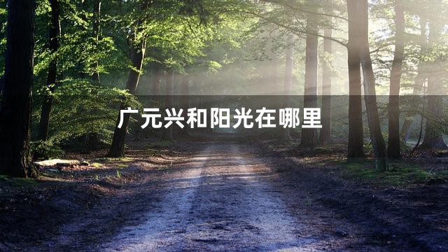 广元兴和阳光在哪里