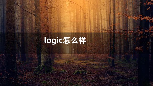 logic怎么样