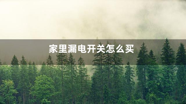 家里漏电开关怎么买