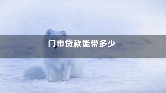 门市贷款能带多少