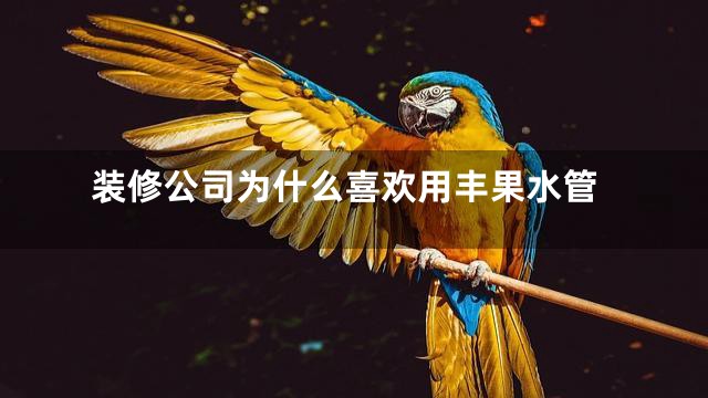 装修公司为什么喜欢用丰果水管