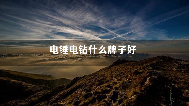 电锤电钻什么牌子好