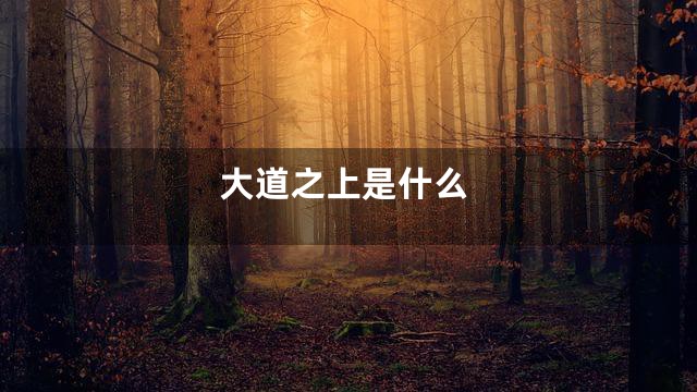 大道之上是什么