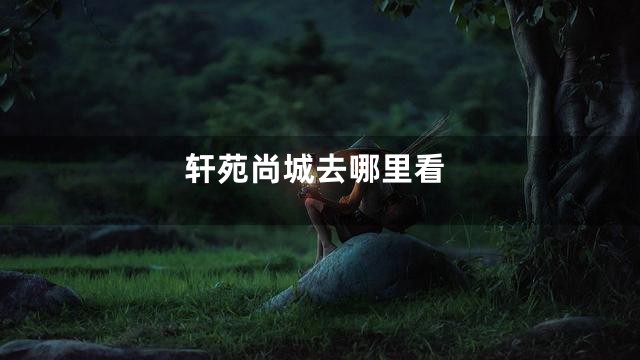 轩苑尚城去哪里看