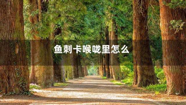 鱼刺卡喉咙里怎么