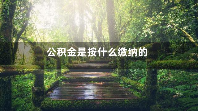 公积金是按什么缴纳的