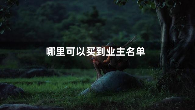 哪里可以买到业主名单