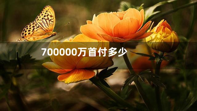 700000万首付多少
