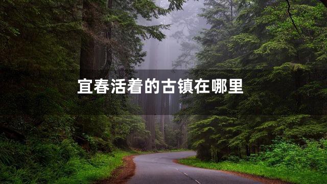 宜春活着的古镇在哪里