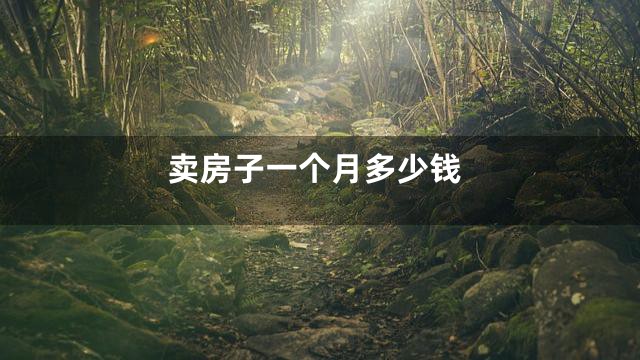 卖房子一个月多少钱