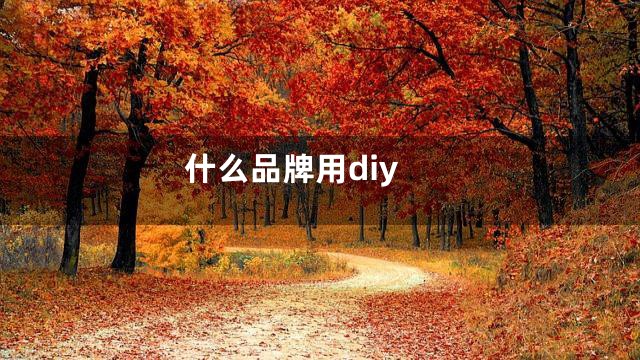 什么品牌用diy
