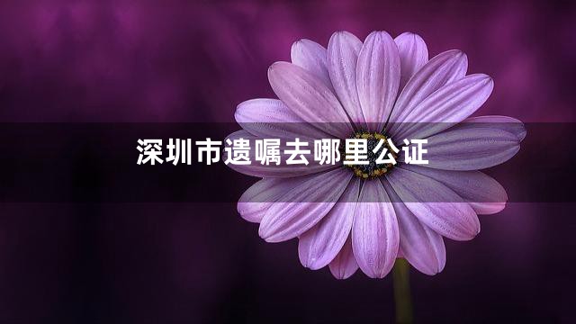 深圳市遗嘱去哪里公证