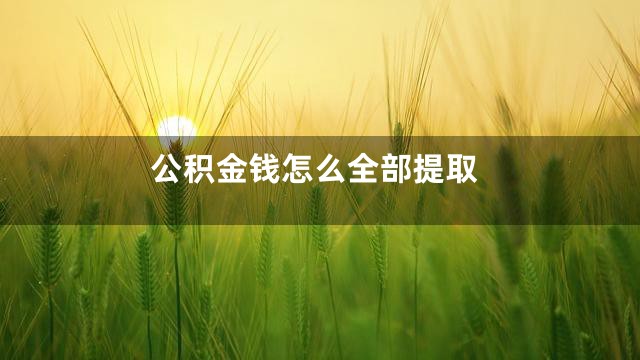 公积金钱怎么全部提取