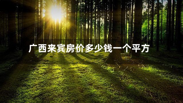 广西来宾房价多少钱一个平方