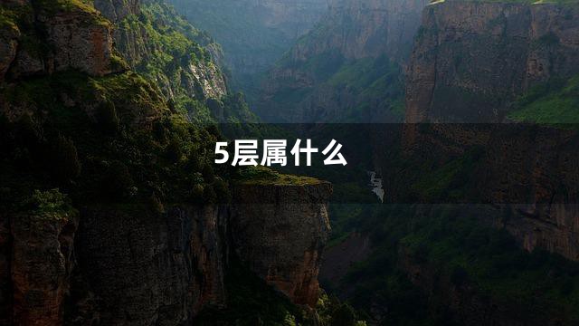 5层属什么