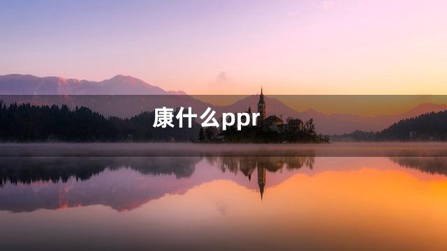 康什么ppr