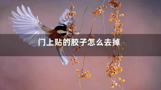 门上贴的胶子怎么去掉