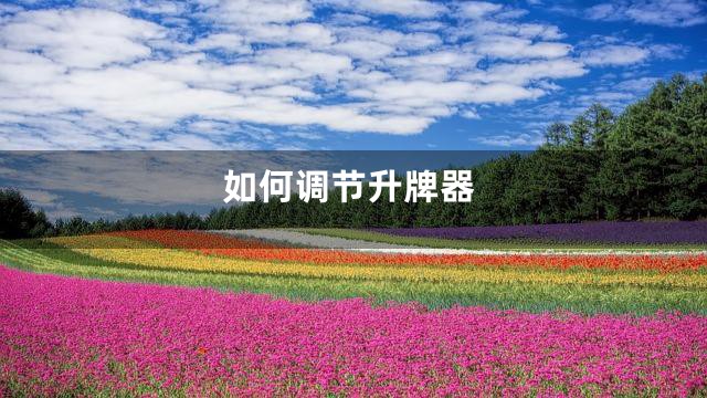 如何调节升牌器