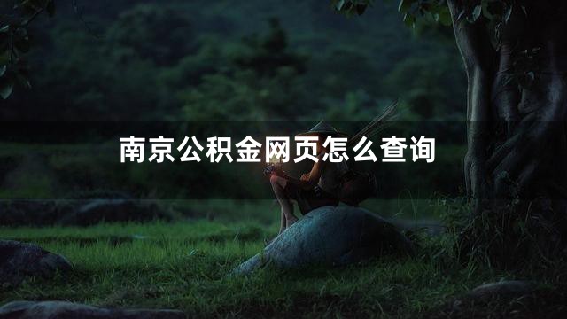 南京公积金网页怎么查询