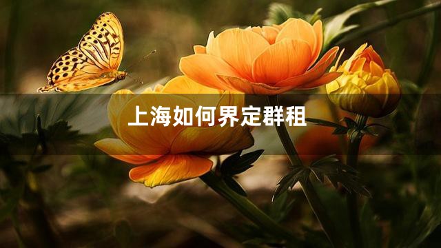 上海如何界定群租