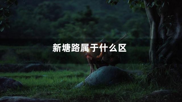 新塘路属于什么区