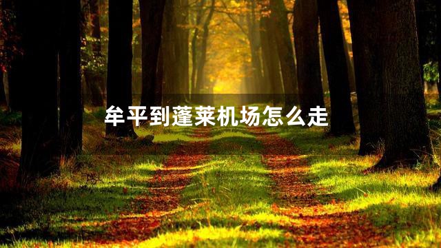 牟平到蓬莱机场怎么走